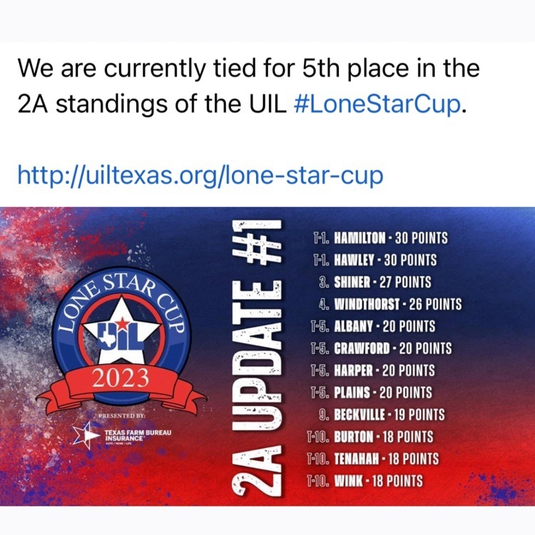 lone star cup